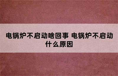 电锅炉不启动啥回事 电锅炉不启动什么原因